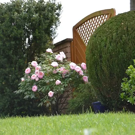 Am Park - Vulkanferien *