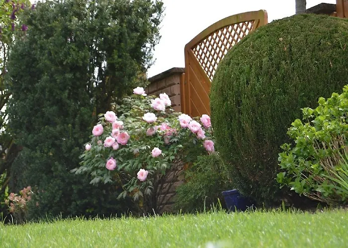 Am Park - Vulkanferien *